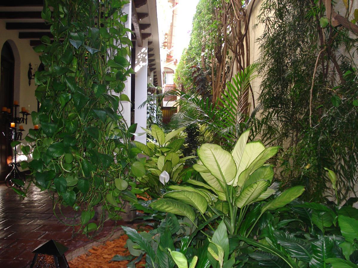 Casa Florencia Hotel Antigua Zewnętrze zdjęcie